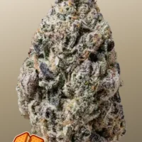 BISCOTTI GELATO™